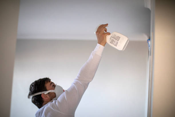 Best Black Mold Removal  in Ruthers, CA