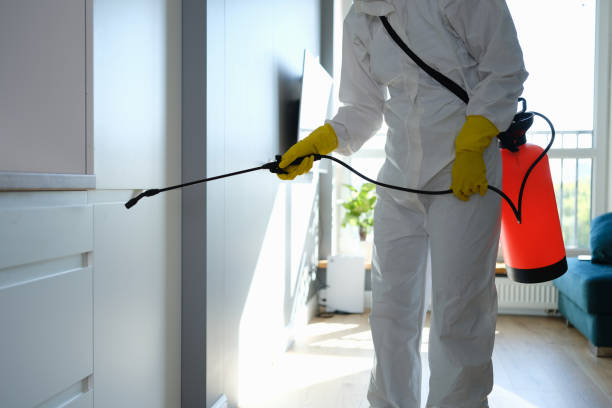 Professional Mold Removal in Caruthers, CA
